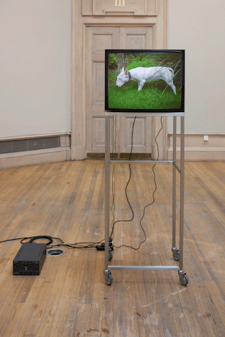 On wooden floor, there is a trolley with a small monitor with an image of a dog with a collar on grass. Next to it in the ground is the control box for the monitor with 3 wires connected to the monitor. On the right side of the control box is a circular hole in the ground. It is small and lined with metal. Behind all this, is a wooden door with the roman numerical of 3.