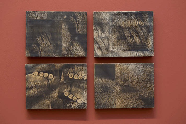 Four paintings hanging on a wall, The are zoomed in images of feet and hands on paper, stuck on top of each other, on the canvas.