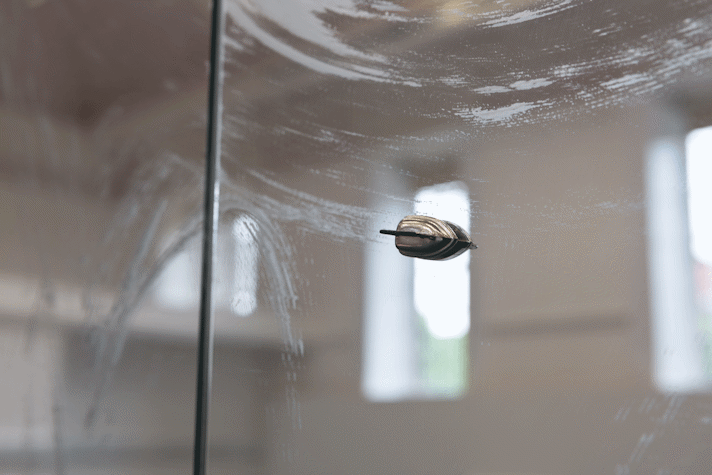 detail of a tiny metal iron on a mirrored cabinet door