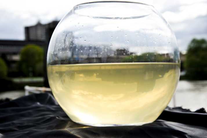 fishbowl filled with murky yellow water. the river clyde is in the background.