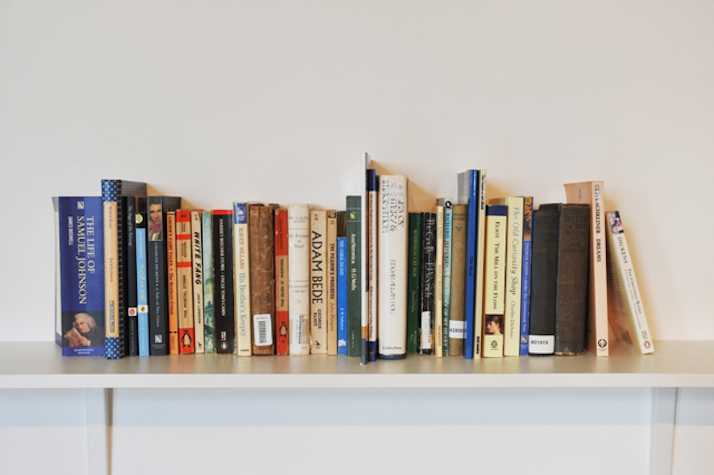 line up of books on a bookshelf.