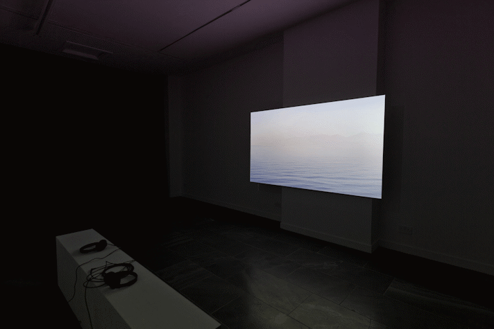 Installation view, large screen showing an image of water within a landscape