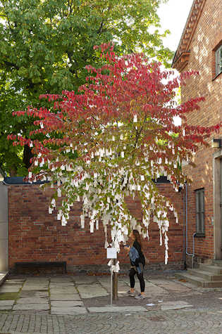 A woman stands below a tree with green and red leaves in a courtyard. Attached to the branches of the tree are pieces of white paper.