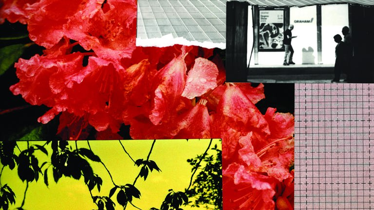 A collage of different photos overlapping each other, including a flowers, leaves, and a black and white image of a person dancing.