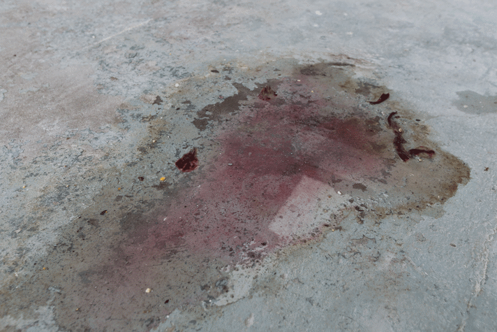 a pink stained puddle on a gallery floor. petals of hibiscus sit at the edges