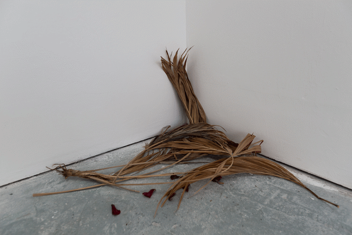 a pile of dried palm leaves sit in the corner of a gallery
