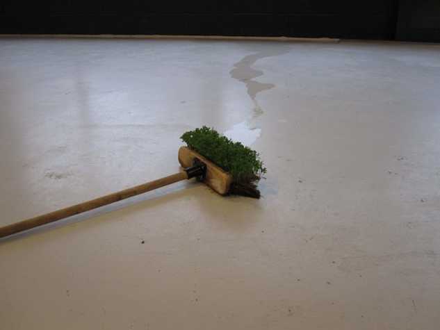 a broom on the floor with watercress growing out of the brush