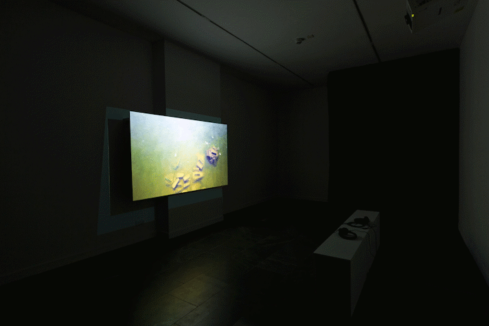Installation view, large screen showing debris lying on ocean floor
