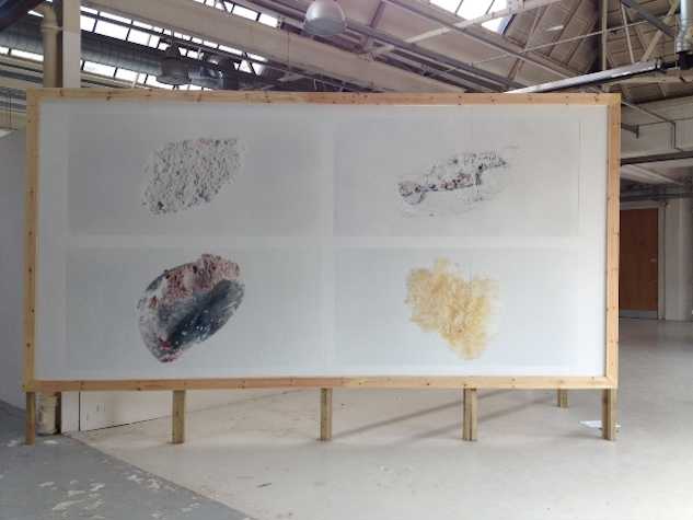 indoor billboard with 4 images of rocks and organic structures against white background in a grid. Billboard has a wooden frame.