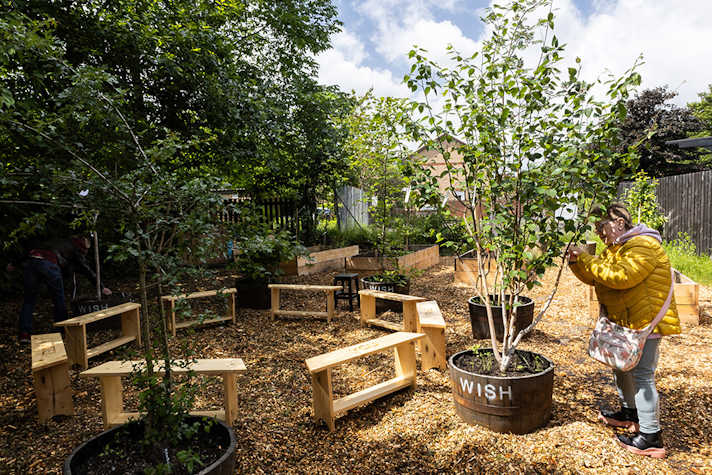 A person ties something onto the branch of a tree in a garden area. There is a circle made up of wooden benches.