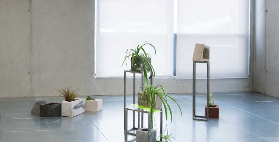 gallery installation, plants