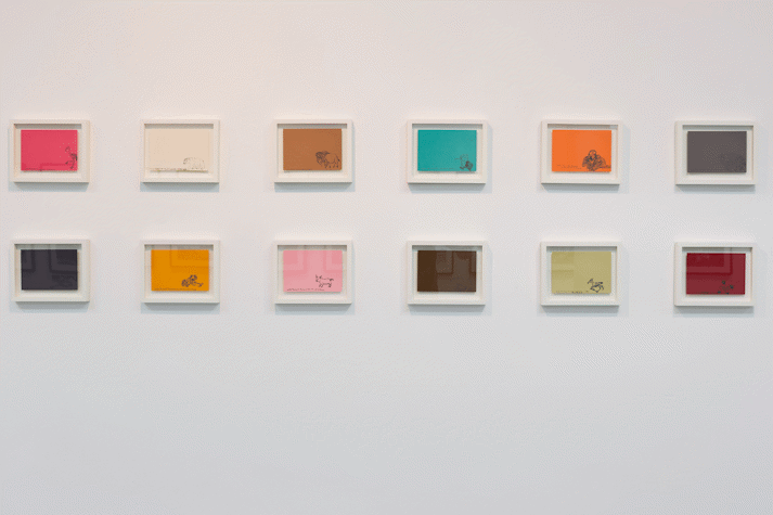a grid of small colourful canvases in frames each have a small black pen drawing of an animal on them