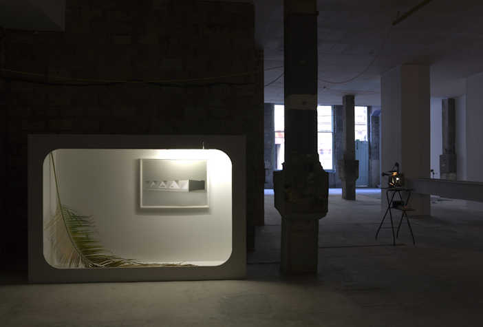installation view. there is an illuminated cubby in a wall. inside there is a large leaf and a framed image.