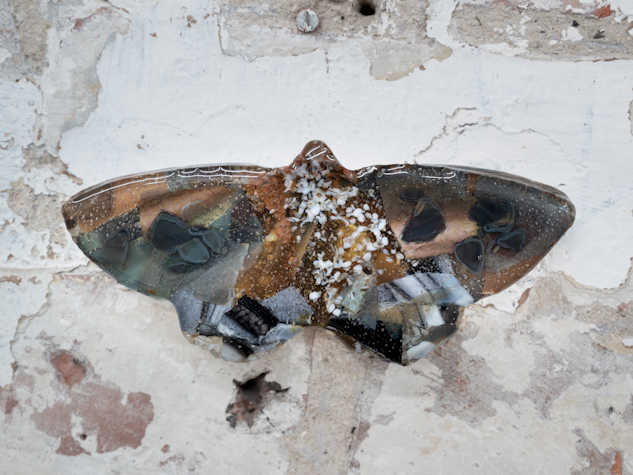 Image of a resin cast mottled moth placed on a textured white background.