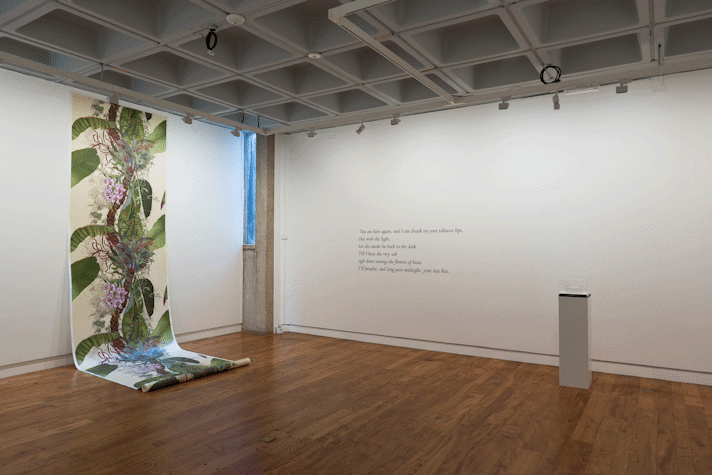 a large botanical print hangs from a gallery ceiling, down the gallery wall and onto the floor in a roll.