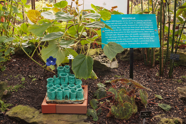 In front of plants, there is a ceramic display of cilindrical turquoise tubes and two ceramic flowers, on top of a base of bricks.