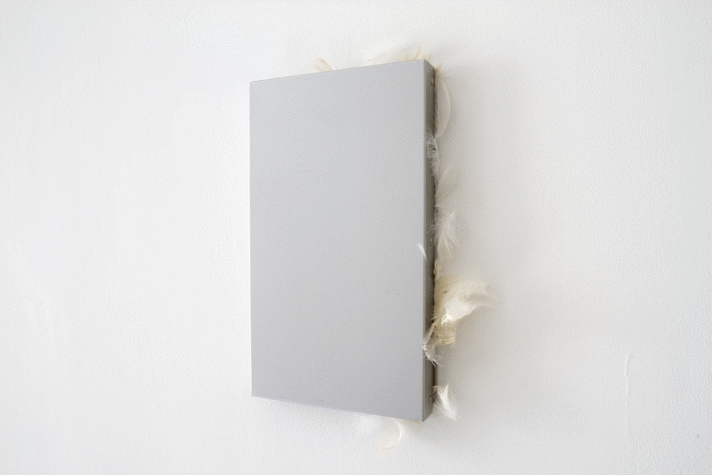 Aluminium clipboard, down feathers on a wall