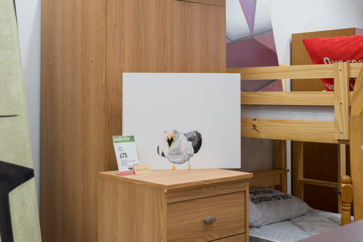 A painting of a seagull is posed on top of a brown wooden bedside table in a British Heart Foundation charity shop.