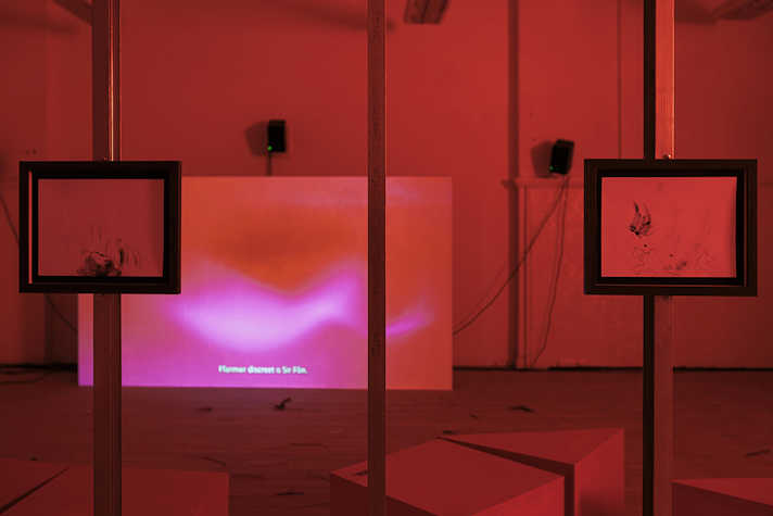 Artwork is displayed on wooden slats in a red room. In the background there is a screen showing a film.