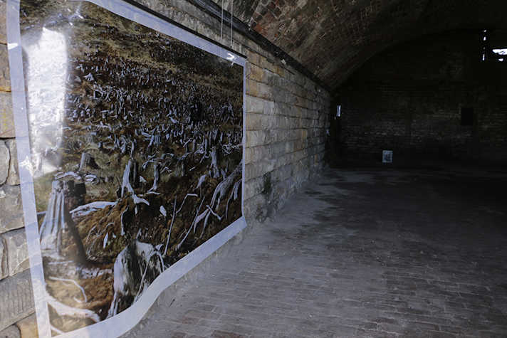gallery installation, photography of natural landscape, full view and scale of the bricked archway