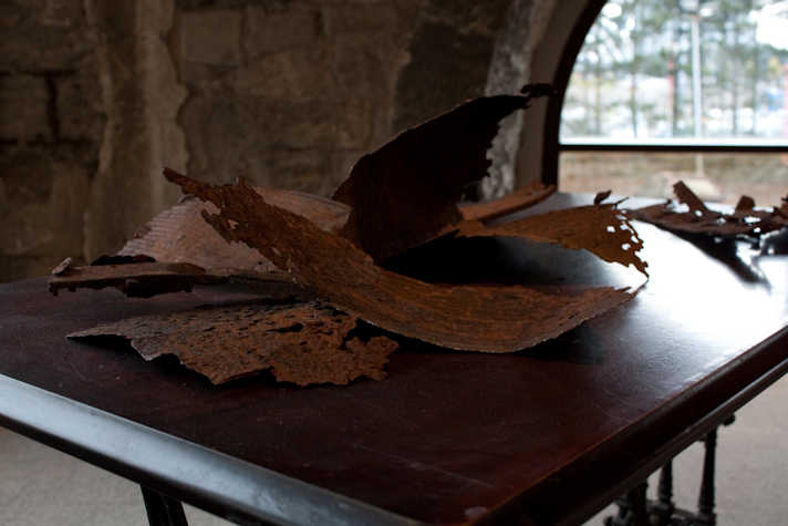 close up of a table in a stone room. not he table are curled up bark like objects